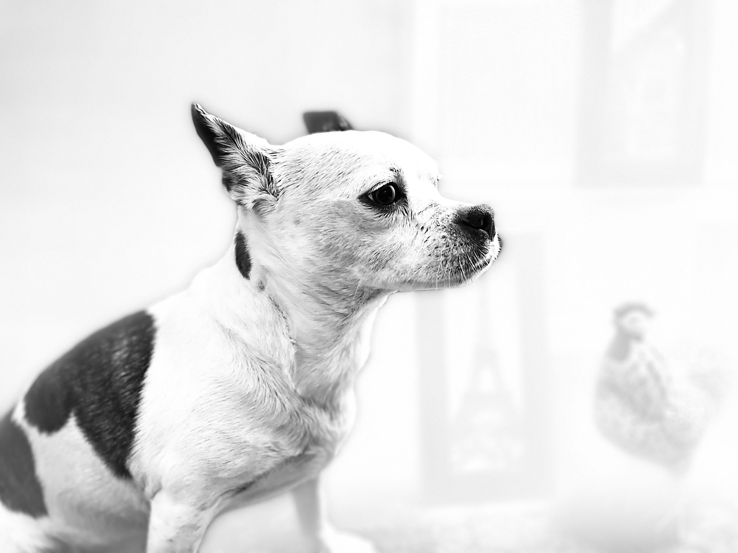 word of the day December 2023 Promissory Note By Margaret Leora Workman; Warponie Art