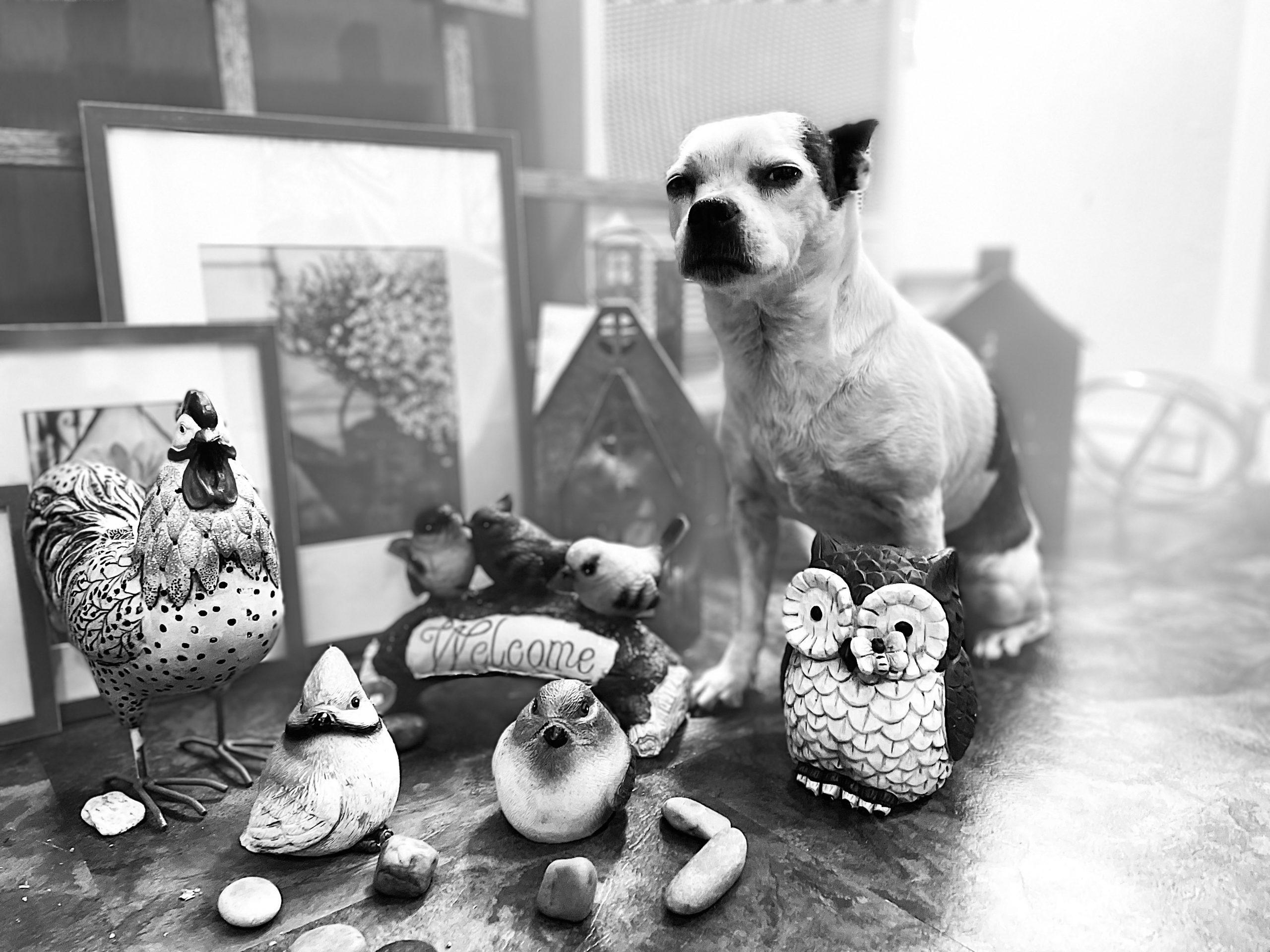 Thank You For The Crumb by Margaret Leora Workman; Warponie Art